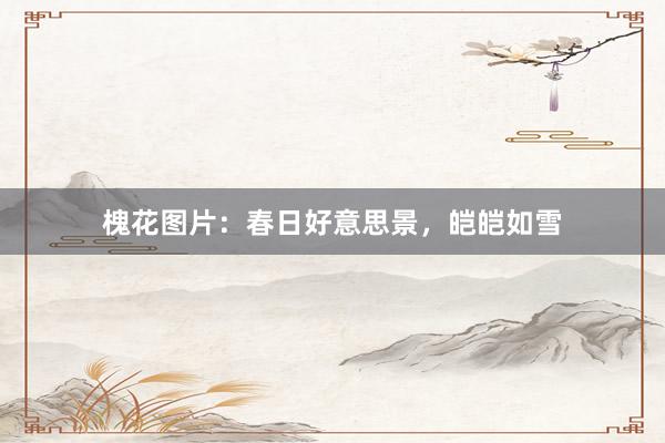 槐花图片:春日好意思景,皑皑如雪
