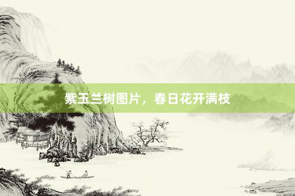 紫玉兰树图片,春日花开满枝