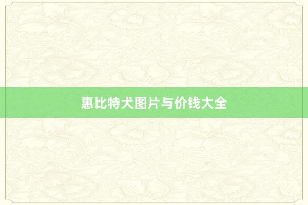 惠比特犬图片与价钱大全